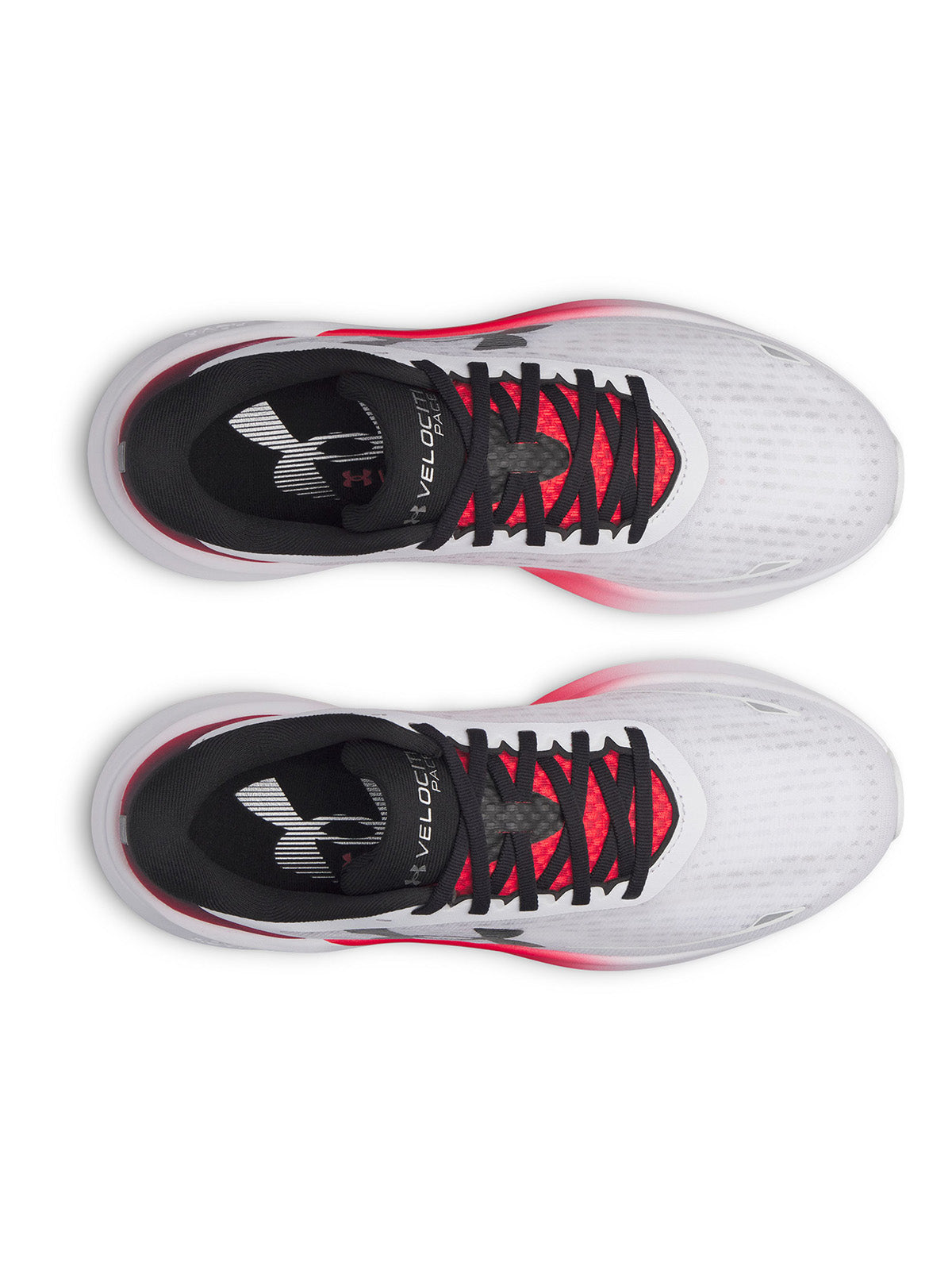 Tenis Running Hombre Color Blanco